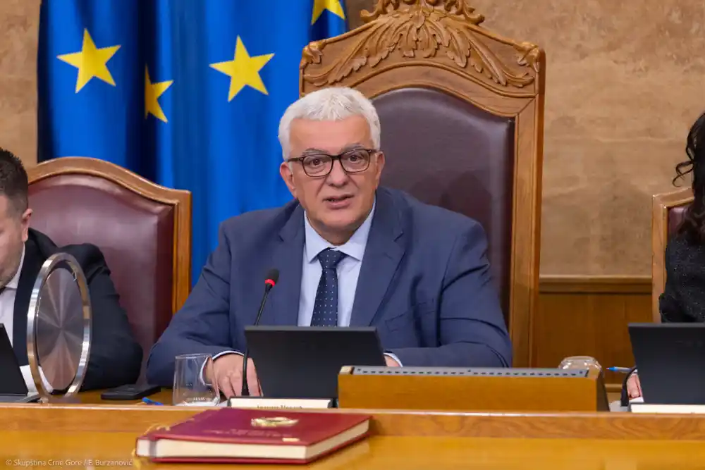Mandić se zahvalio njemačkom ministru: Skupština će i dalje biti pouzdan partner, a uvjeren da će, uz podršku prijatelja iz Evropske unije, Crna Gora biti prva naredna članica EU