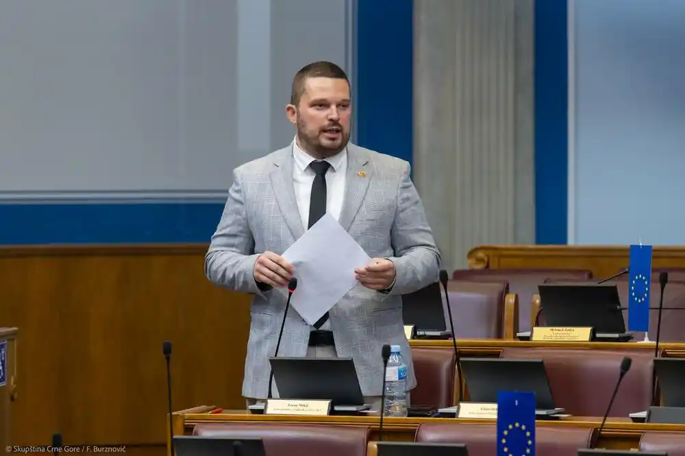 Mikić: Svađe unutar parlamentarne većine pomogle evropski put Crne Gore