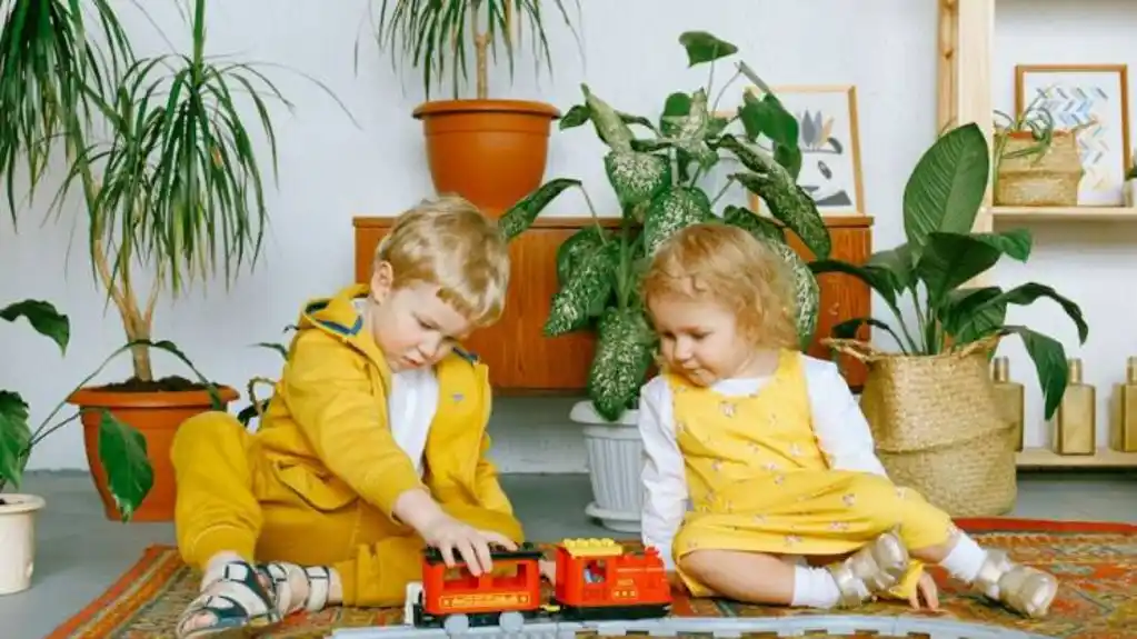 Nauka OTKRILA zašto se braća i sestre toliko RAZLIKUJU