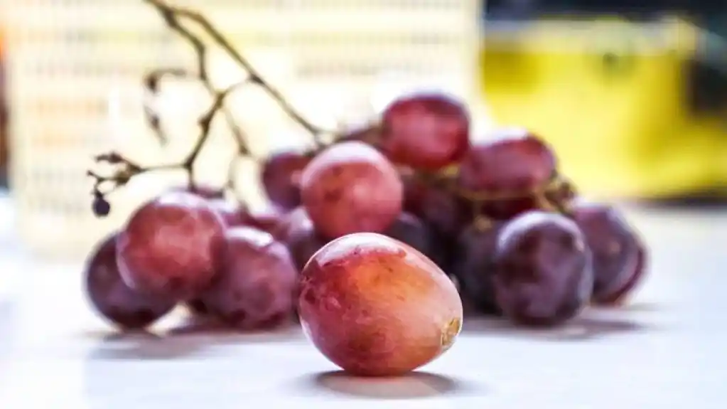 Ne kupujte na SLIJEPO – Evo kako da PREPOZNATE najslađe GROŽĐE na prvi pogled