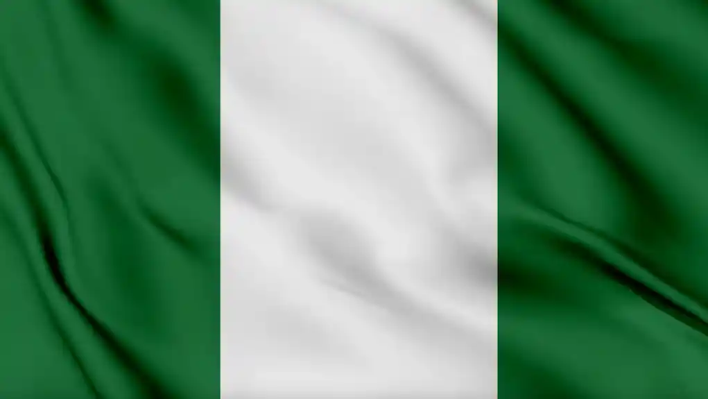 Nigerija: Broj žrtava ekstremističkog napada na džamiju porastao na najmanje 50