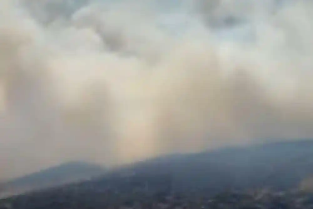 Nikšićki vatrogasci od vatre spasili brojne kuće, bore se sa više šumskih požara