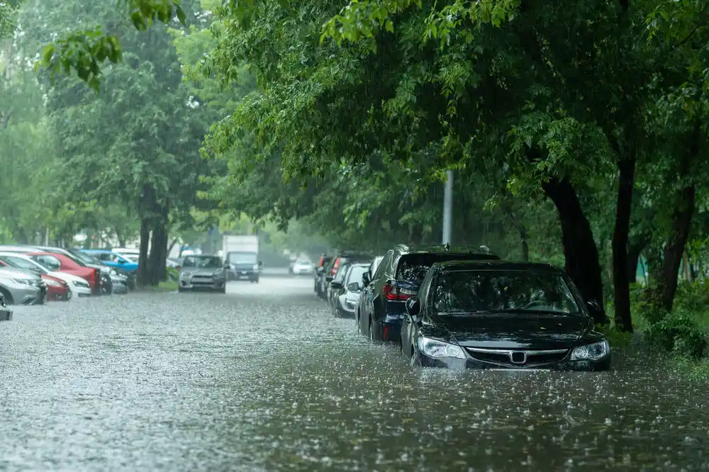 Novčana pomoć za stvari od životnog značaja: U skupštinskoj proceduri Predlog zakona o obnovi nakon nepogode