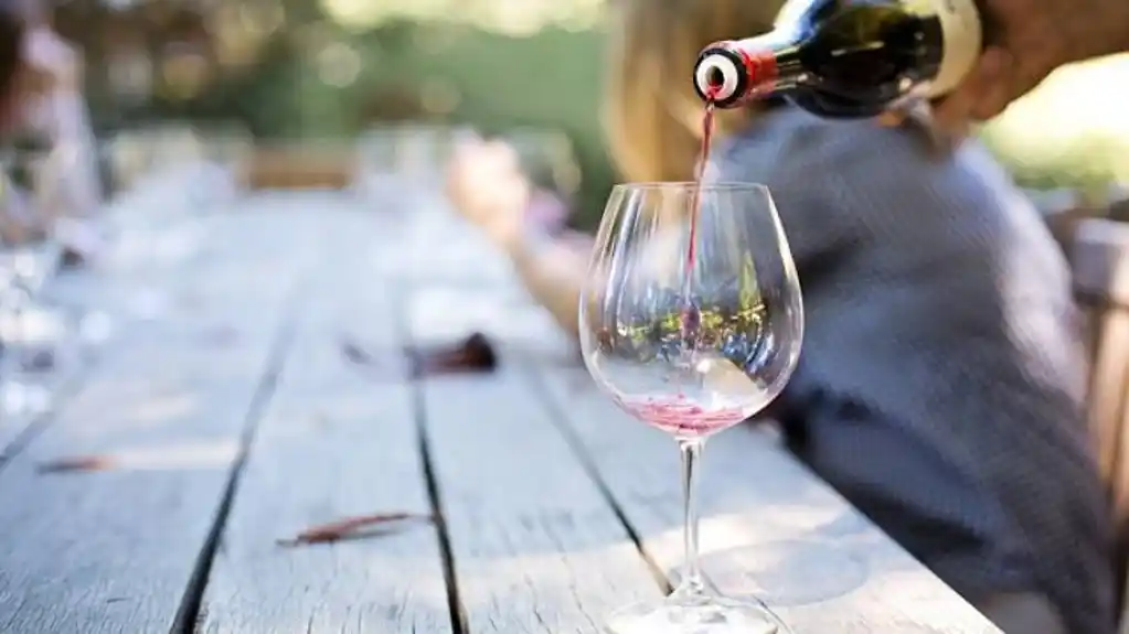 Pijete BESPLATNOi još vam plaćaju: Ova država nudi četiri godine BESPLATNOG vina za naučno istraživanje