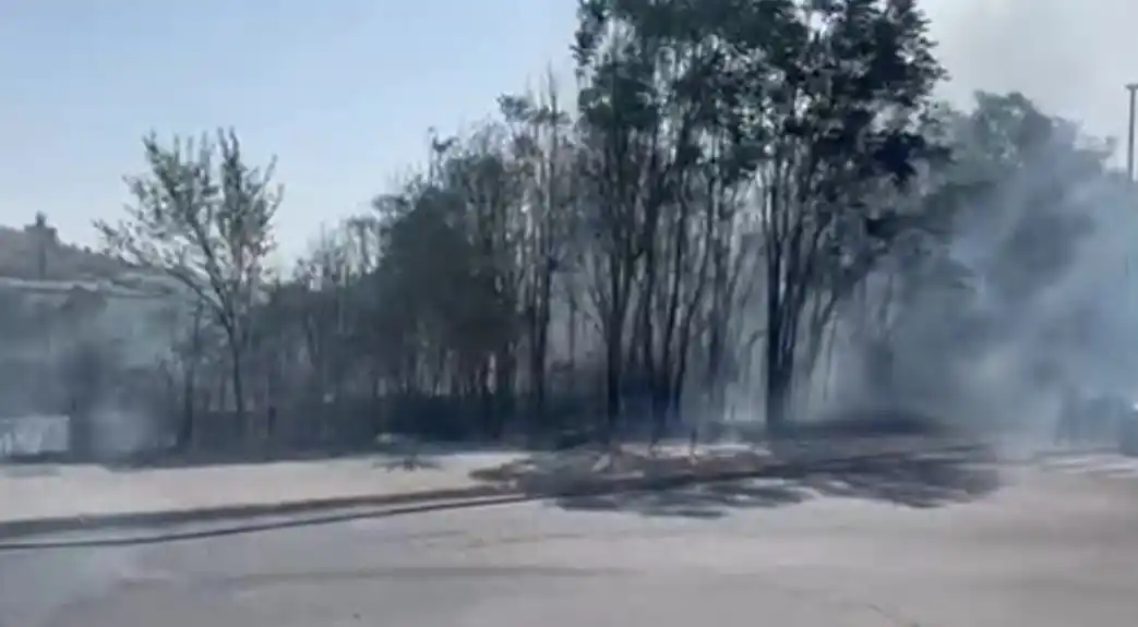 Požar u parku kod City kvarta