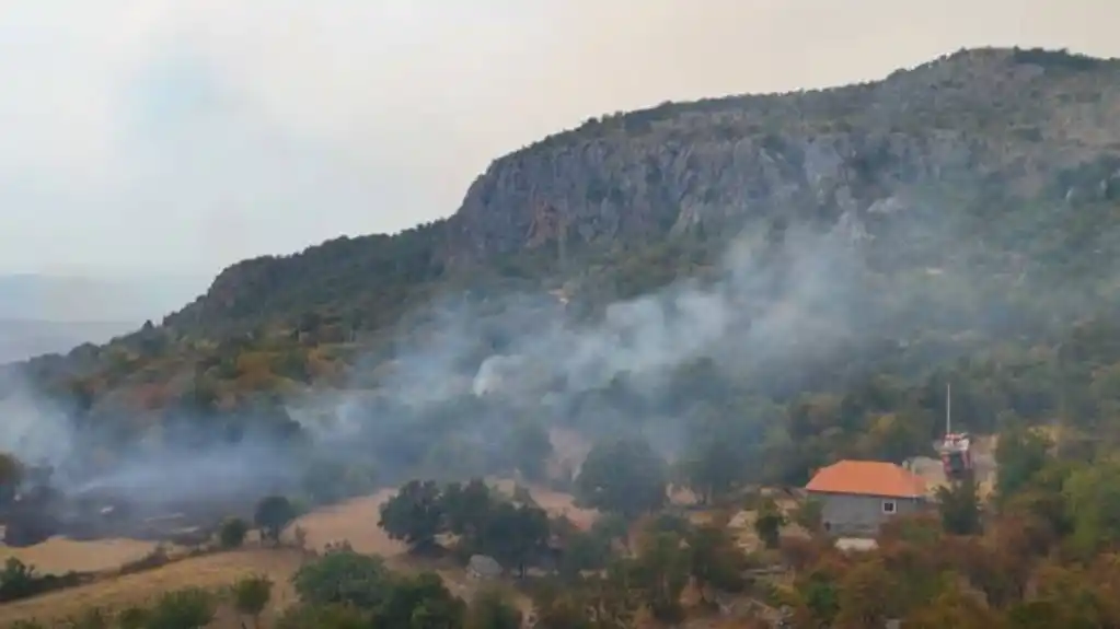Šćepanović: Situacija pod KONTROLOM, spremni smo da odmah reagujemo