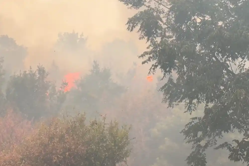 Širi se požar u Piperima: Zahvatio planinu Živa, ugroženo više sela