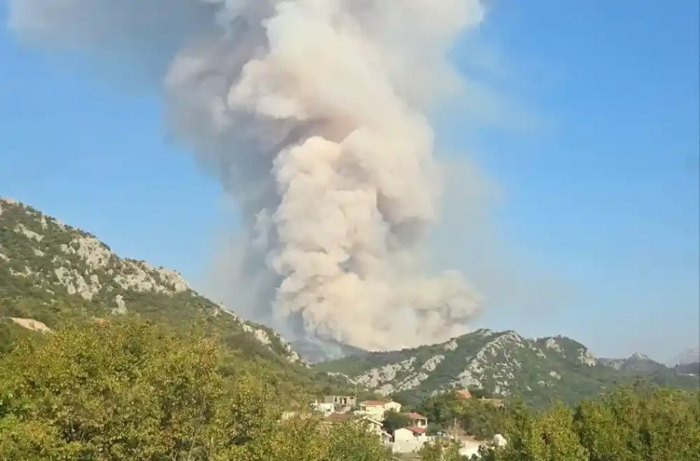 Stigao i hrvatski kanader: Gasi na području Čanja i Buljarice i Kufina