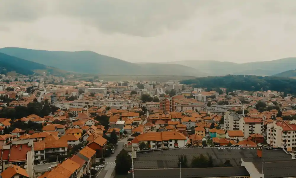 U Pljevljima preko hiljadu pasa lutalica