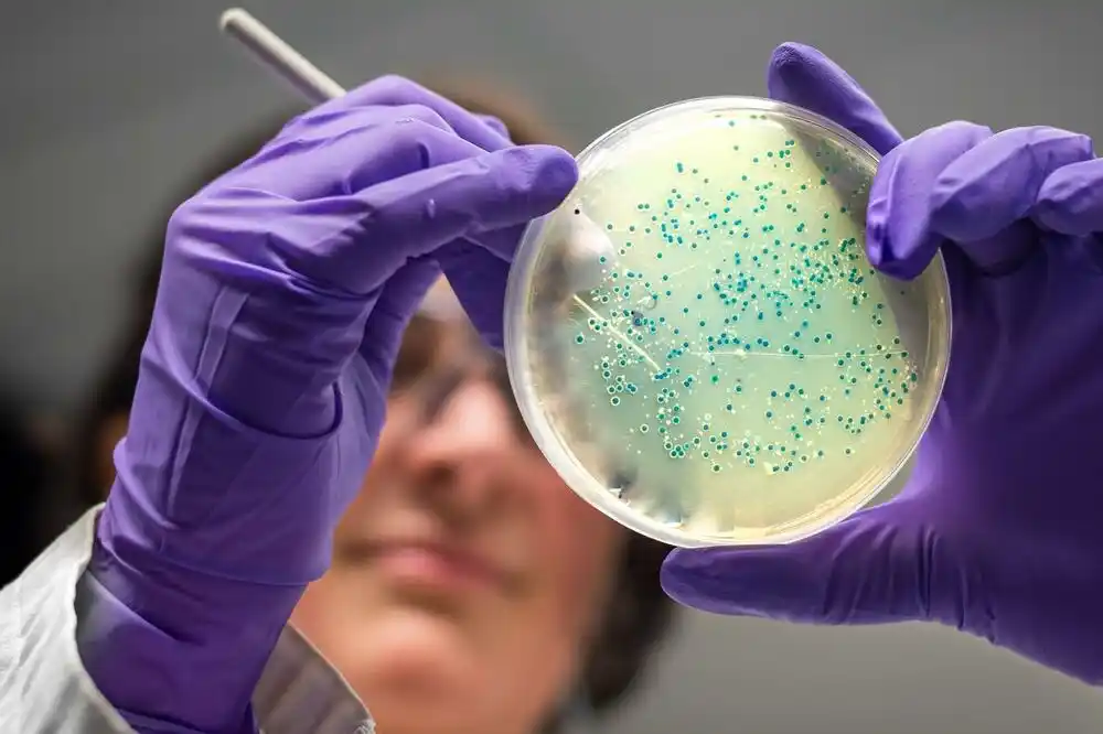 Vještačka inteligencija pronašla antibiotike za gonoreju i MRSA superbakterije