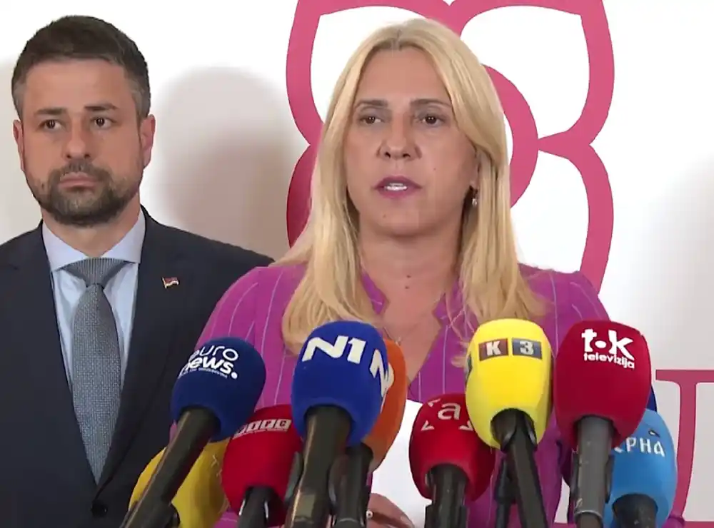 Cvijanović: Napuštanje sale Generalne skupštine UN-a jednostran potez Stalne misije BiH