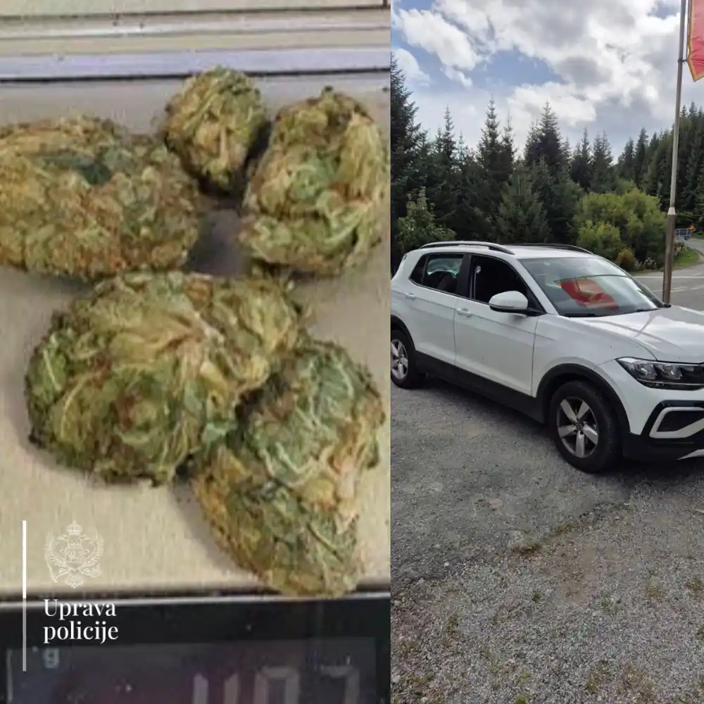 Granična policija podnijela prekršajnu prijavu protiv osobe kod koje je pronađena marihuana prilikom granične kontrole