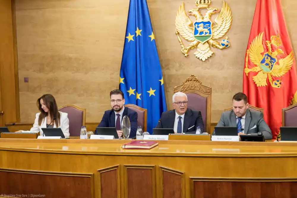 Mandić: Cijena struje u Crnoj Gori ista već pet godina, baterijski sistemi otvaraju put pojeftinjenju!