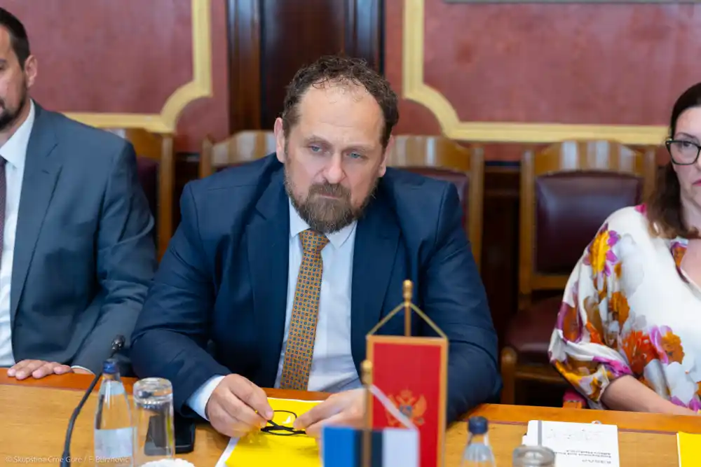 Stojović: Koristi izvjesnog pristupanja Crne Gore Evropskoj uniji neporecive