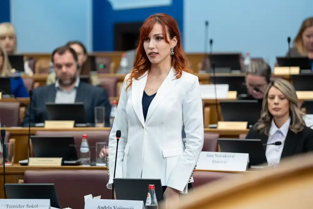 Vojinović: Na meti oni koji imaju hrabrosti, prijava protiv Jelene Jovanović poruka svima