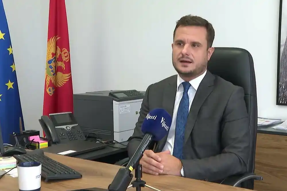 Zenović: Crna Gora je u fazi kada i najmanji detalji u mozaiku vladavine prava mogu da probude sumnju država članica EU
