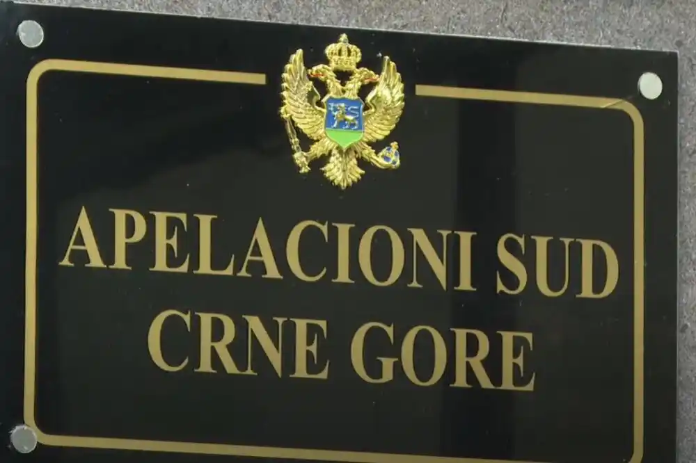 Apelacioni sud: Država ne treba da plati konzorcijumu „Bistrica Clean Energy“ više od 28 miliona eura