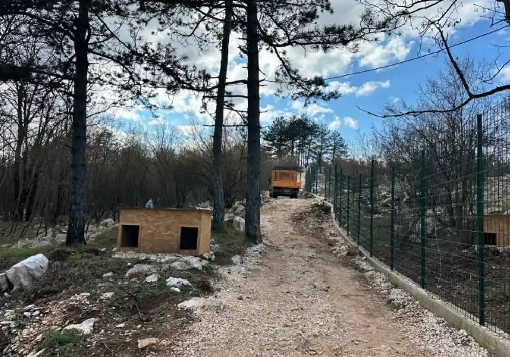 Bez podataka o psima lutalicama, Nikšić isplaćuje STOTINE HILJADA EURA za ujede