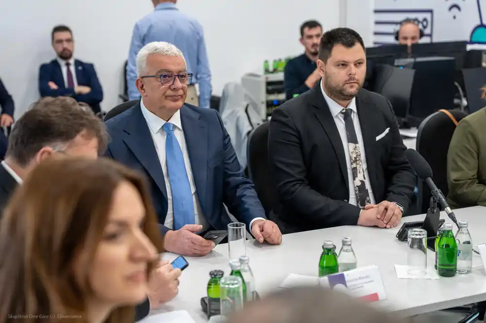 Mandić: Nikšić u borbi za titulu Evropske prijestonice kulture ima punu podršku zakonodavnog doma