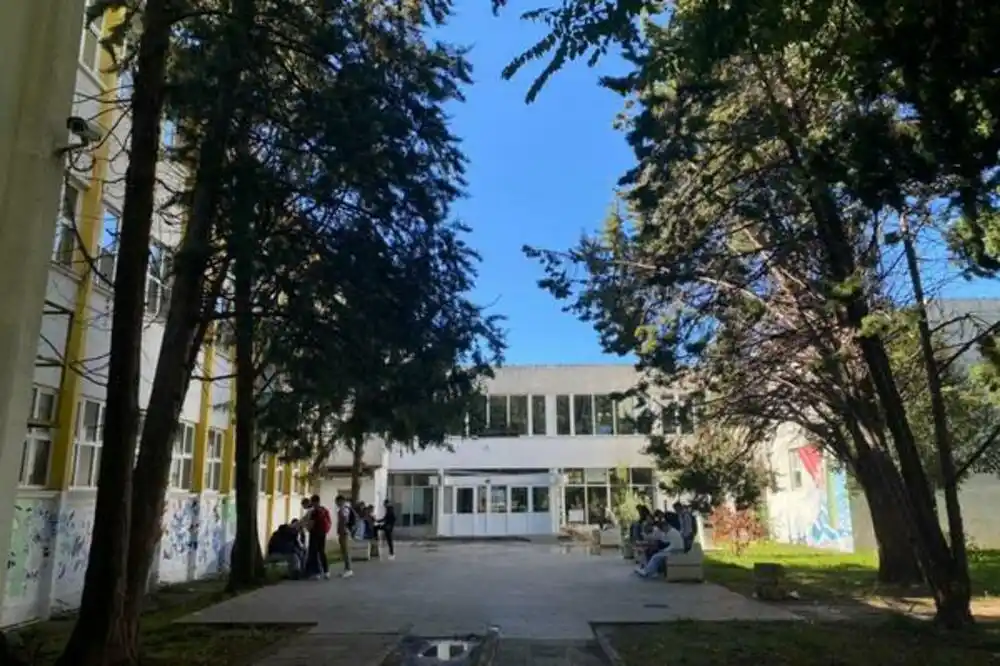 Milena Bajagić imenovana za v.d. direktorice barske Gimnazije, Đonović podnijela ostavku