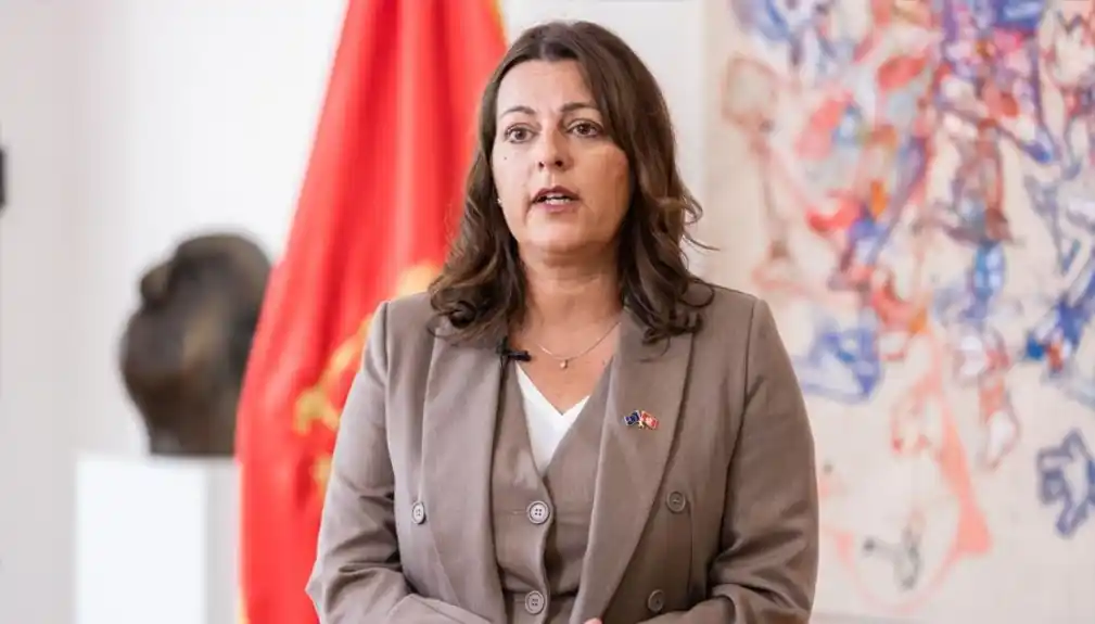 Ministarka Vujović: Akcija SDT-a ne ugrožava slobodu medija, ako se govori o teškim krivičnim djelima svi moramo uzeti učešće!