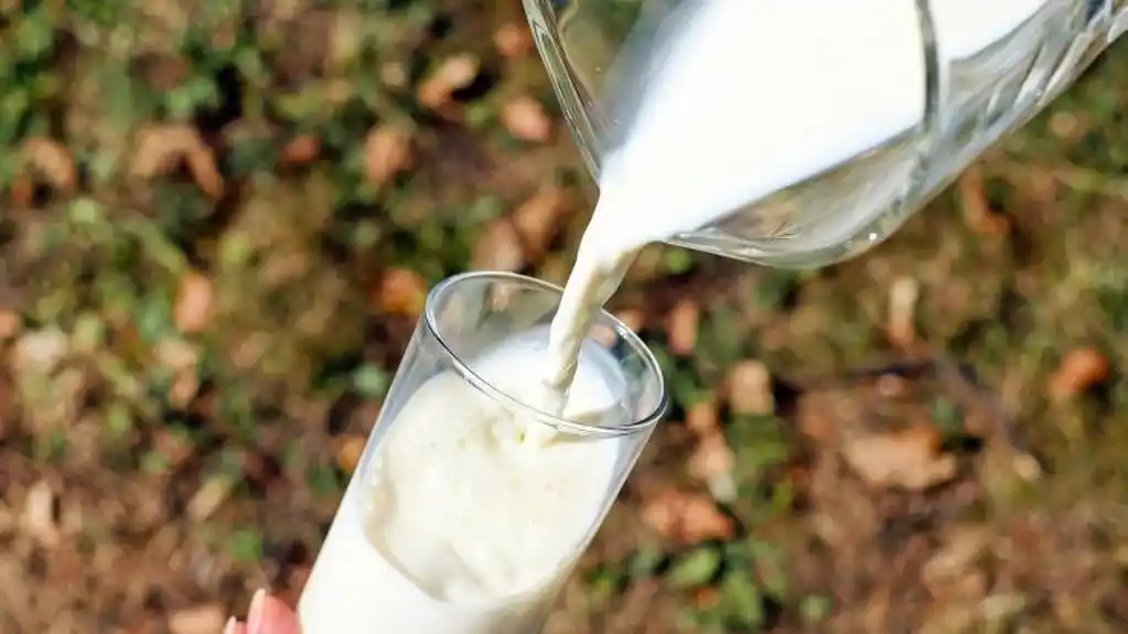 MPŠV postiglo rješenje: Otkupljivači mlijeka mogu da NASTAVE sa vršenjem OTKUPA