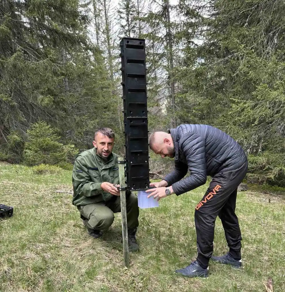 Nacionalni parkovi Crne Gore: Brojnost potkornjaka ove godine smanjena 60 odsto