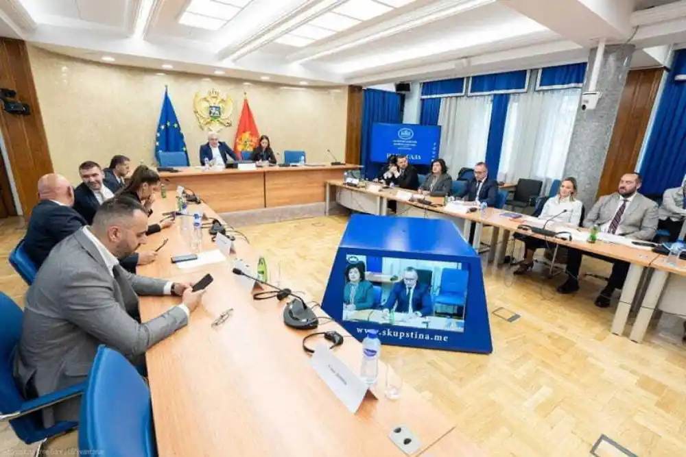 Odbor predložio razrješenje Rutovića i Vujičića