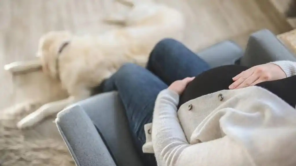 Ovih PET namirnica pomaže u borbi protiv  MUČNINA tokom TRUDNUĆE