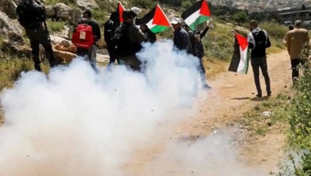 Palestinsko Ministarstvo spoljnih poslova oštro osuđuje terorističke napade izraelskih doseljenika tokom berbe maslina