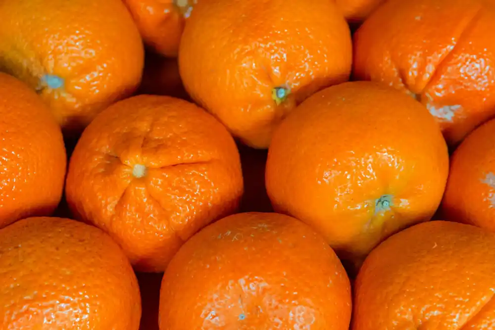 Razlozi zbog kojih ćete još više zavoljeti mandarine