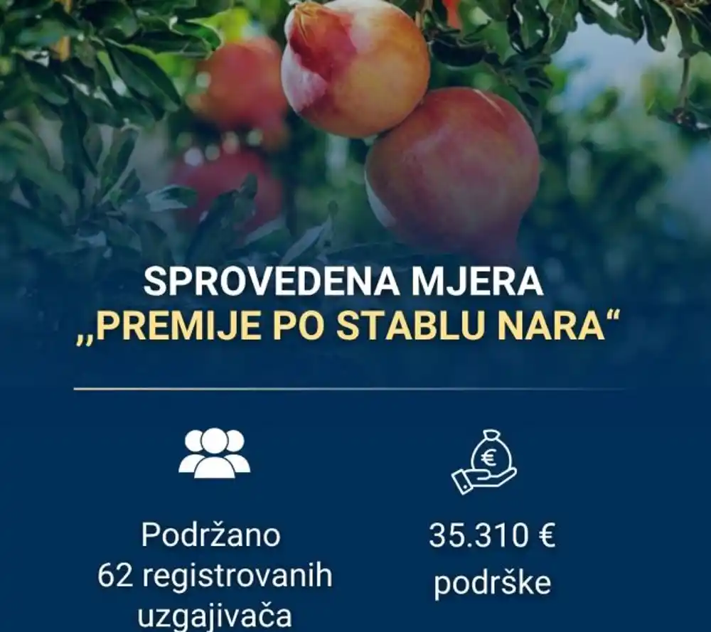 Služba za podršku poljoprivredi i ruralnom razvoju Glavnog grada sprovela mjeru podrške “Premije po stablu nara”
