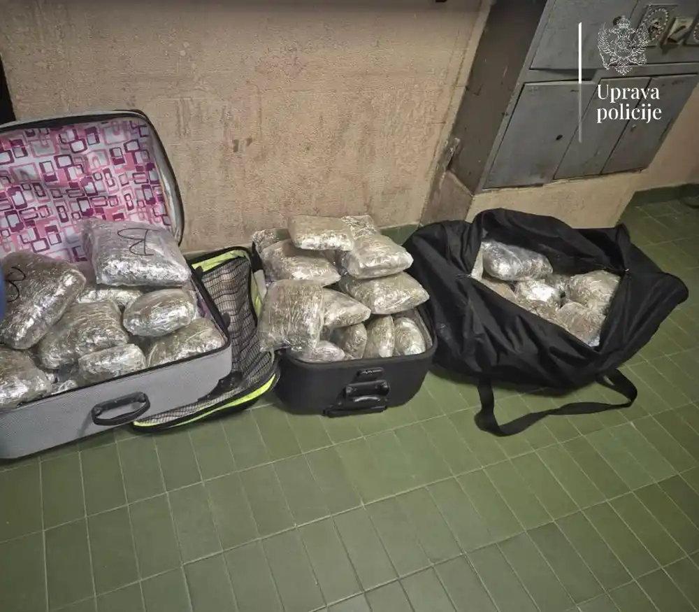 U Kolašinu uhapšen 18-godišnjak sa 40 kilograma marihuane