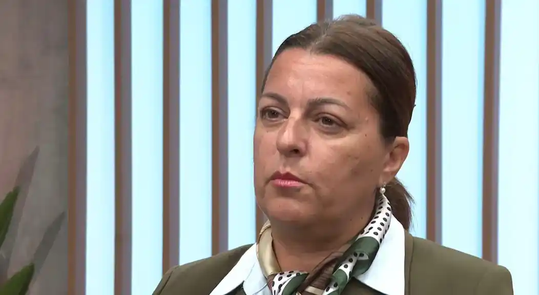 Vujović o istrazi SDT-a: Sloboda medija nije ugrožena