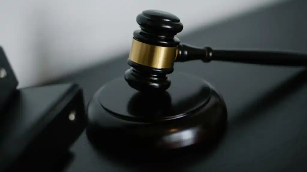 Armenko: Brojne odluke pokazuju da se ideja ljudskih prava ne može zamisliti bez djelovanja Ustavnog suda