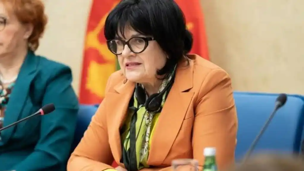 Ćinćur: Sudije Ustavnog suda ne smiju biti birane po ličnim i uskopartijskim interesima