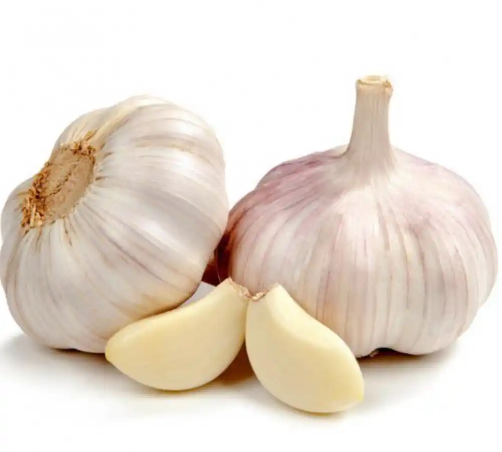 Da li je bijeli luk zaista dobar za vaše zdravlje?