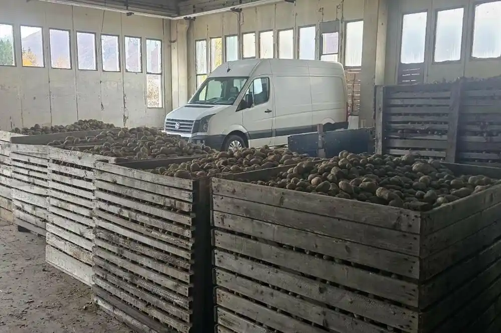 DPS Gusinje: Planirana sportska dvorana pretvorana u skladište krompira, postala resurs porodice Balić