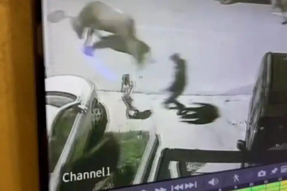 Dumidran: Dijete spašeno od lutajuće stoke