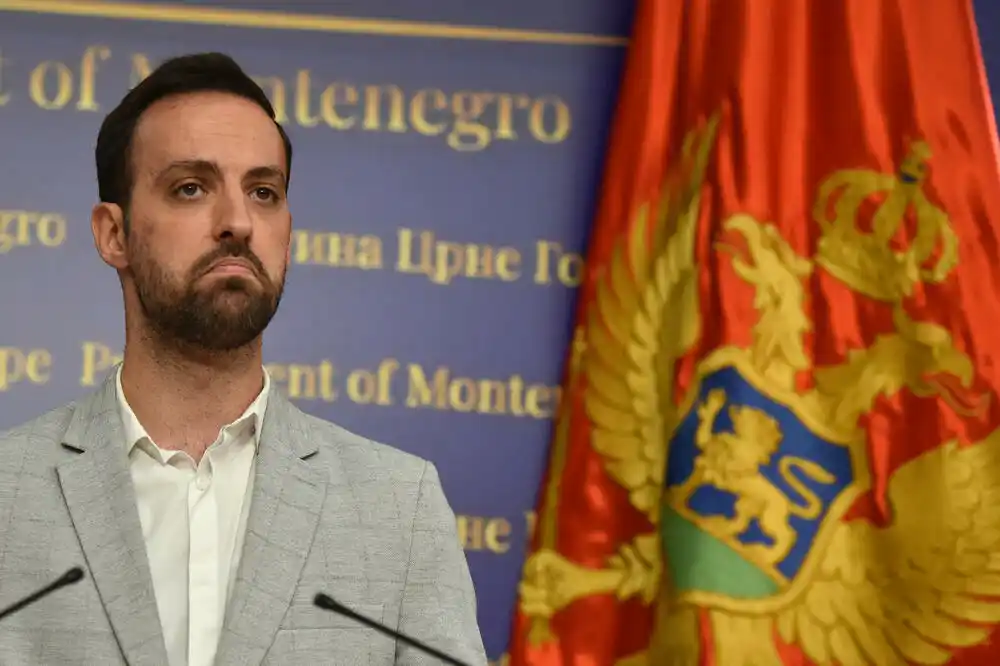 Evropski savez: Zirojević izabran za zamjenika predsjednika skupštinskog Odbora za bezbjednost i odbranu