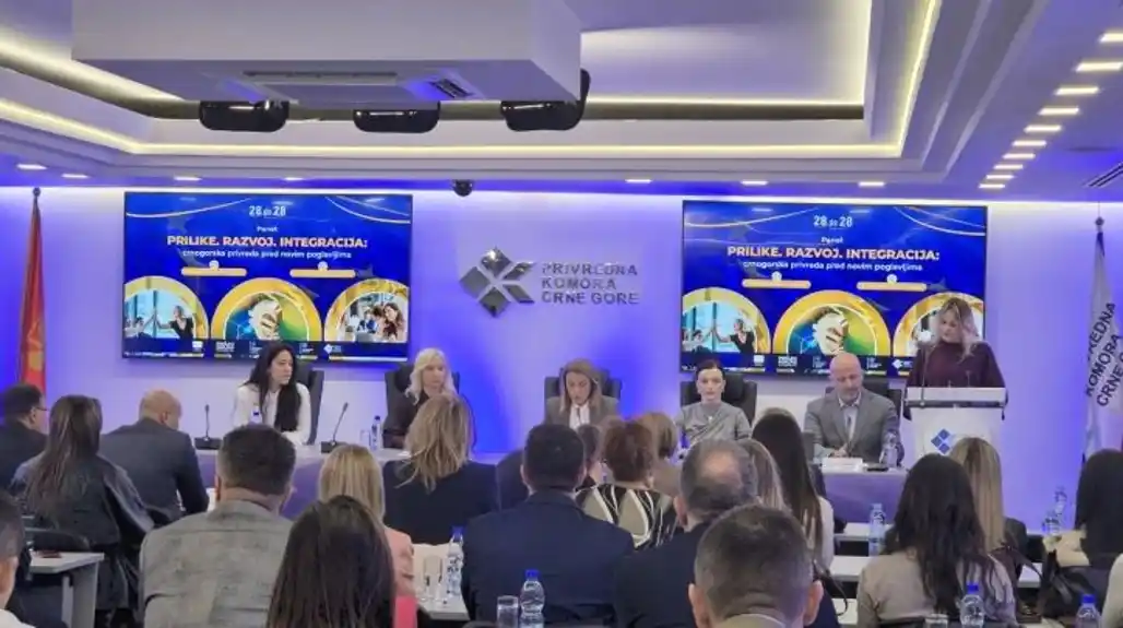Gorčević: Zatvaranjem poglavlja više šansi da crnogorski privrednici ponude usluge širom Evropske unije