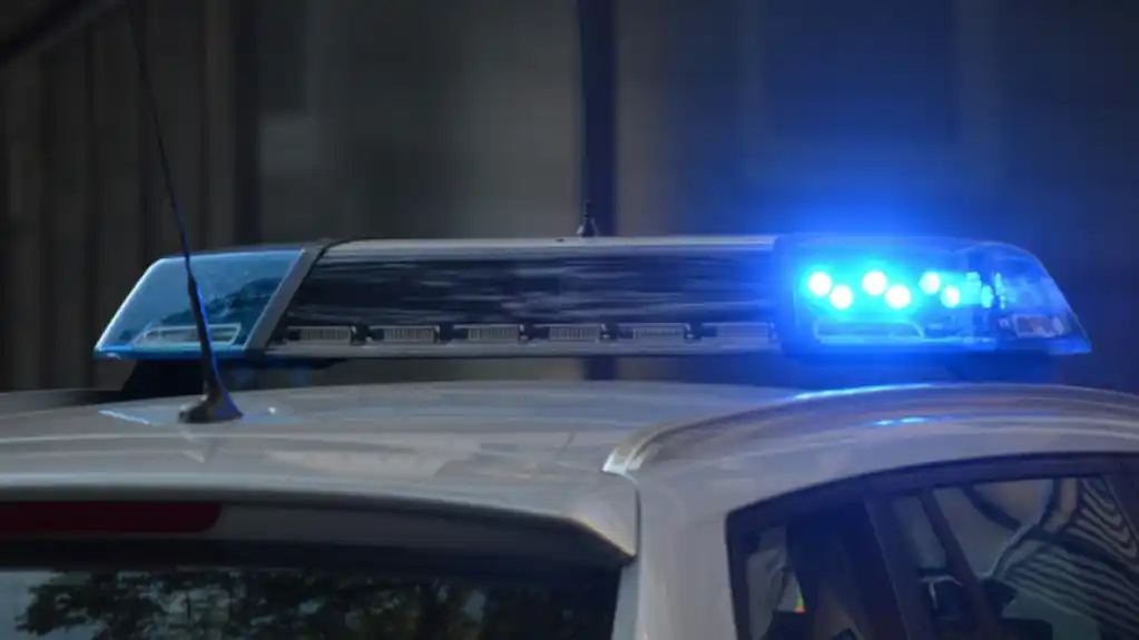 MUP: Krivična prijava protiv osobe u čijoj je pošiljci poštom iz SAD-a pronađeno 1.8 kilograma marihuane