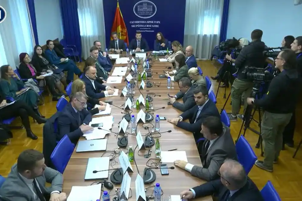 Prekinuto konsultativno saslušanje o nestašici ljekova: Opozicija traži da se čuje Kadić