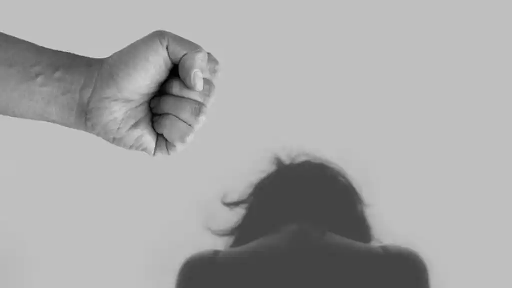 Skoro hiljadu prijava od žena koje su pretrpjele neki oblik nasilja