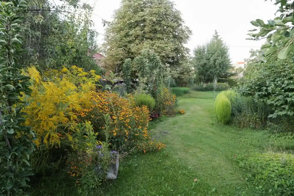 Turistička organizacija Nikšić izabrala najljepša dvorišta