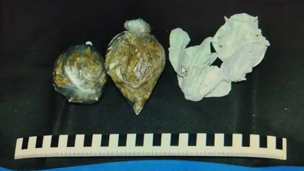 UP – U Pljevljima uhapšen osumnjičeni za uličnu prodaju narkotika, u vozilu pronađena marihuana