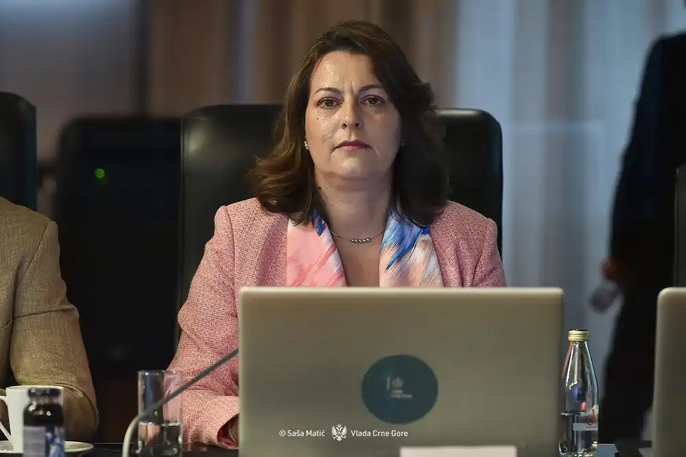 Vujović: Izvještaj EK prepoznaje prve pozitivne rezultate koji nastaju primjenom novih zakona iz oblasti medija