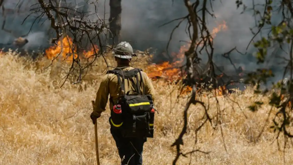 Za naknadu štete od požara 153 zahtjeva ukupne vrijednosti 1,54 miliona eura