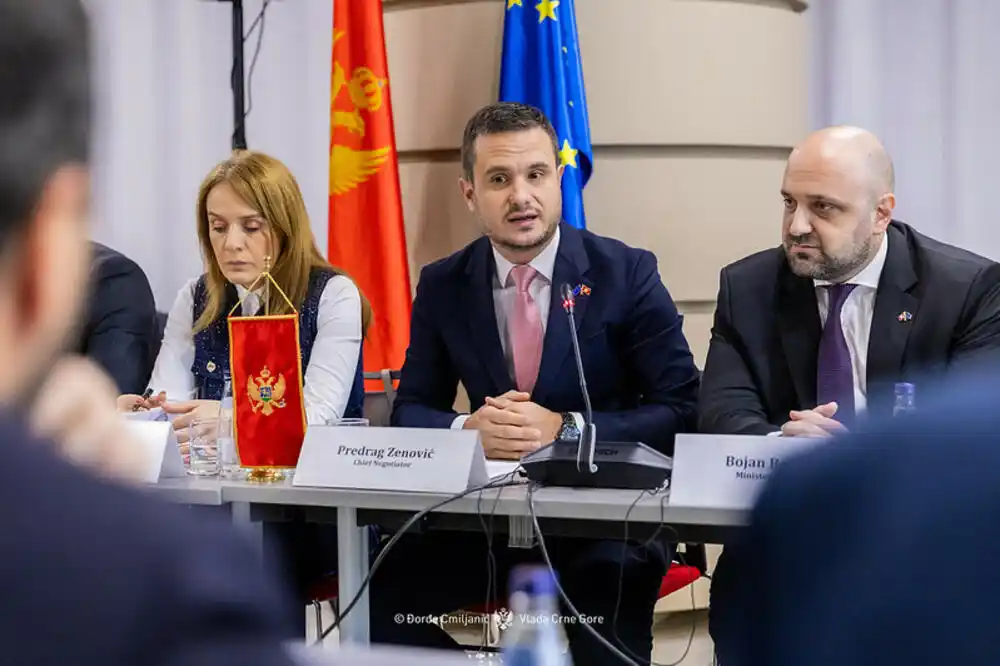 Zenović: Pravosnažne presude dokaz da se evropski standardi primjenjuju u praksi