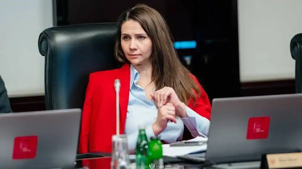 Adžović: Za potvrđivanje sporazuma sa UAE nije bila potrebna dvotrećinska većina